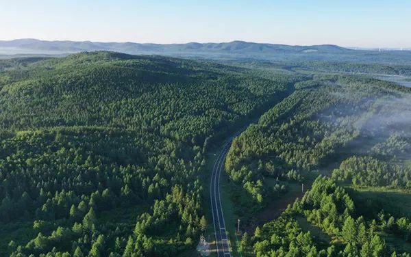 333333.jpg 333333.jpg